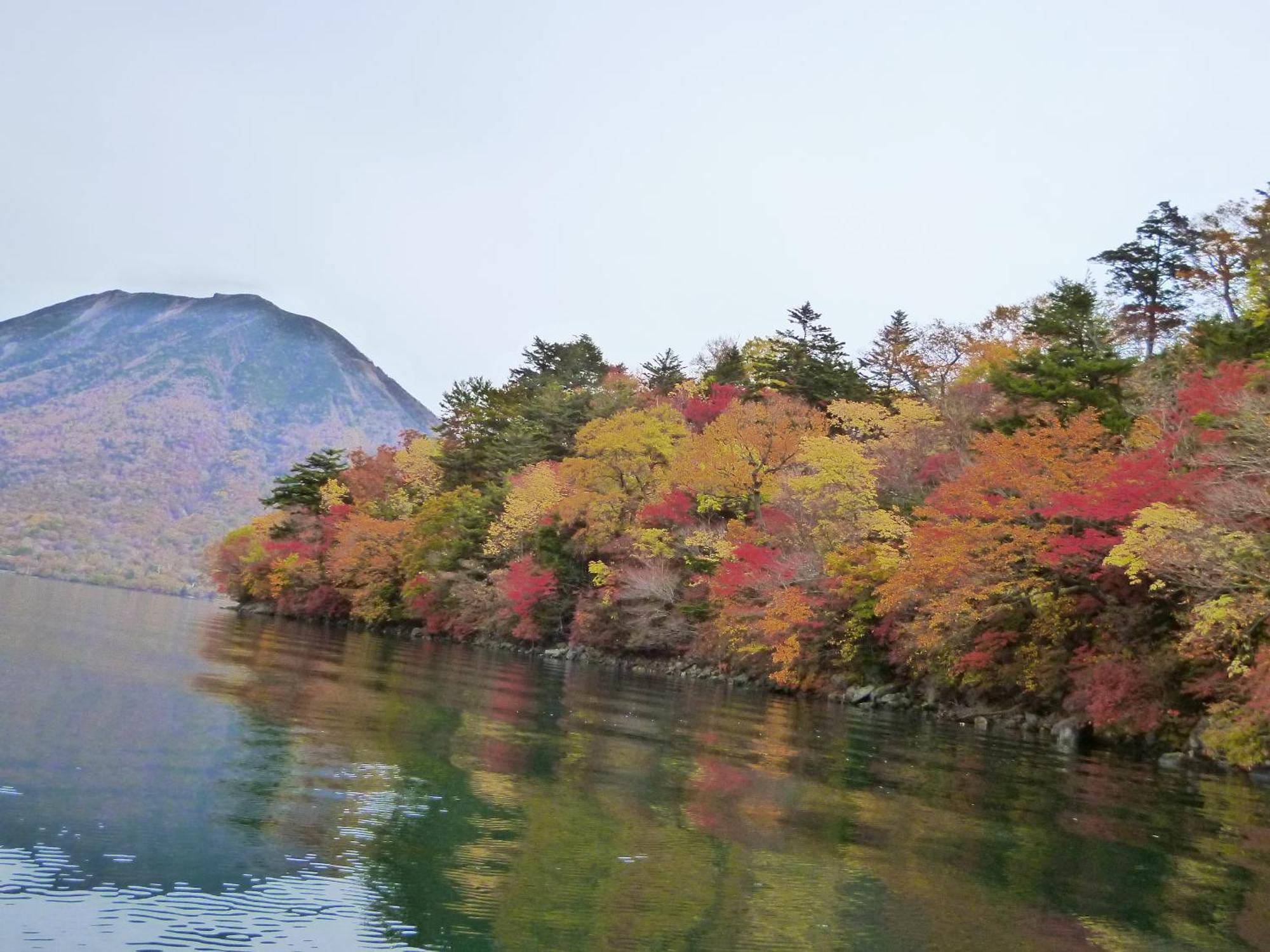 Little Forest Inn Nikko Bagian luar foto