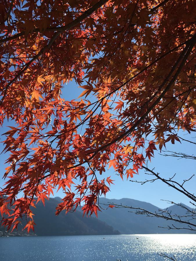 Little Forest Inn Nikko Bagian luar foto