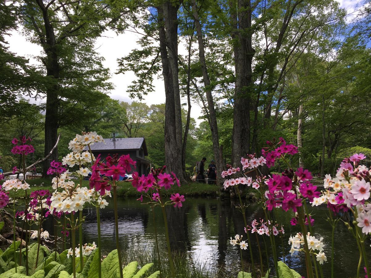 Little Forest Inn Nikko Bagian luar foto